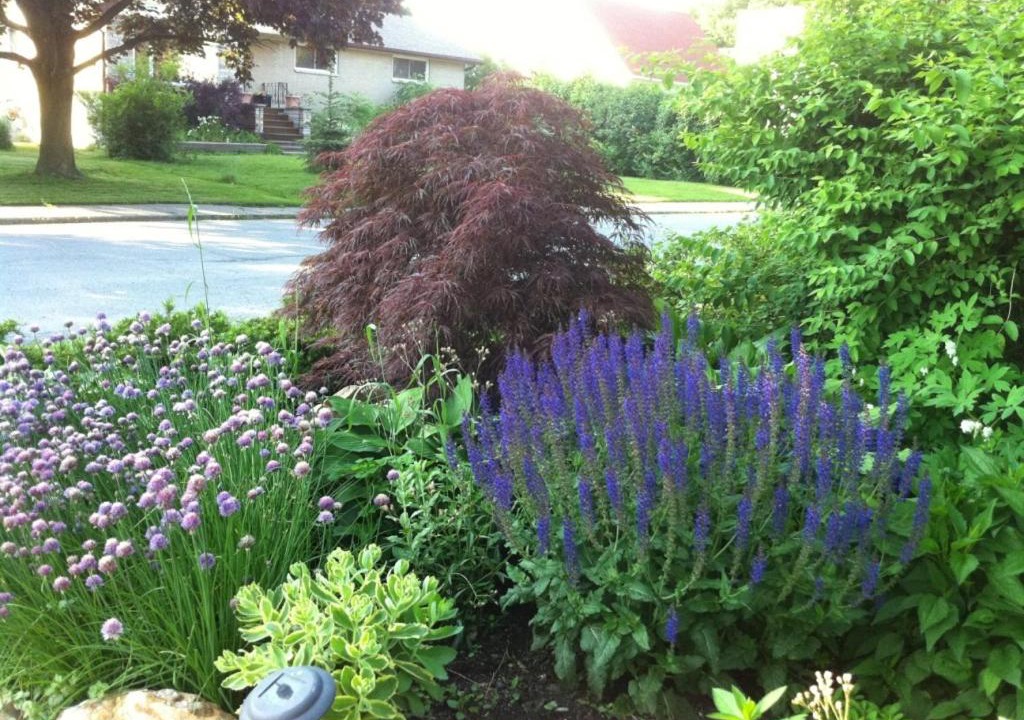 Photo of Outdoor in Gananoque