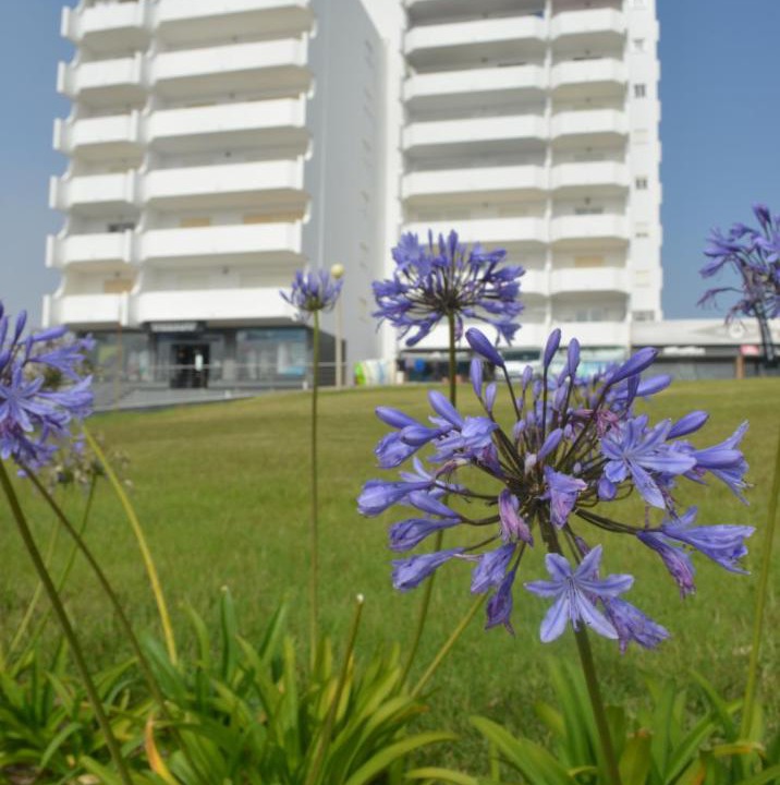 Photo of Buildings in Peniche
