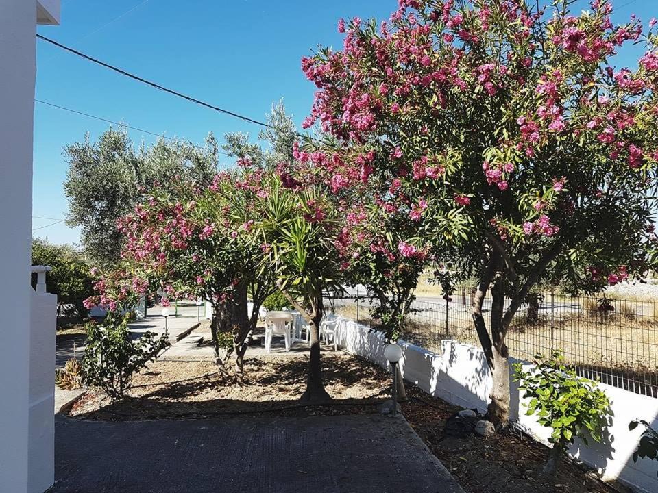 Photo of Others in Archangelos