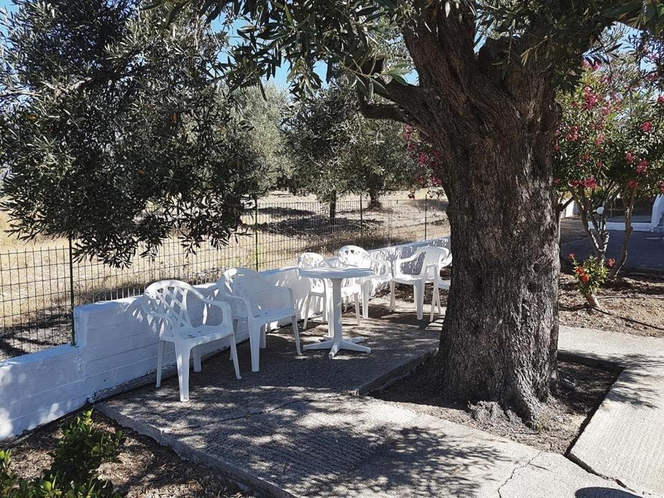 Photo of Others in Archangelos