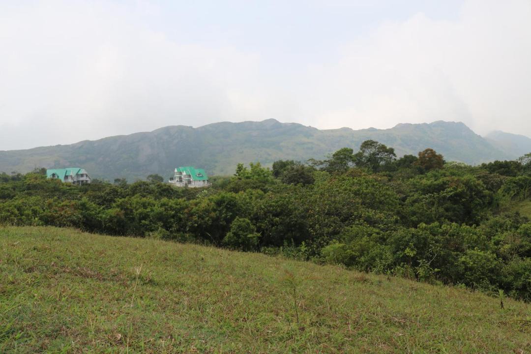 Photo of Outdoor in Elappara