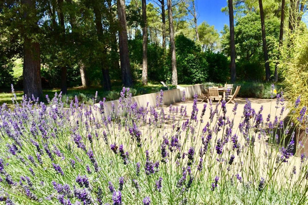 Photo of Others in St.-Remy-de-Provence