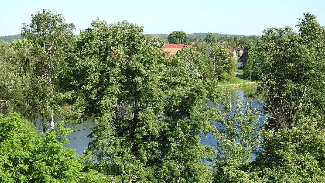 Photo of Outdoor in Zator