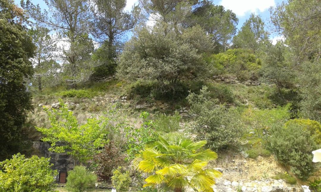 Photo of Others in Aragon