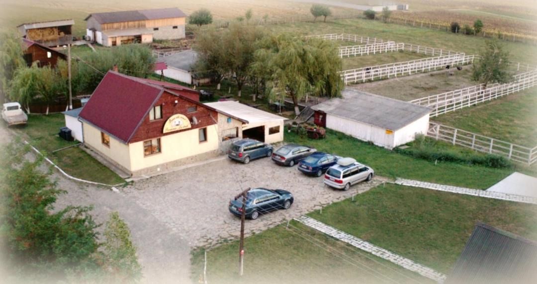 Photo of Others in Tirgu Neamt