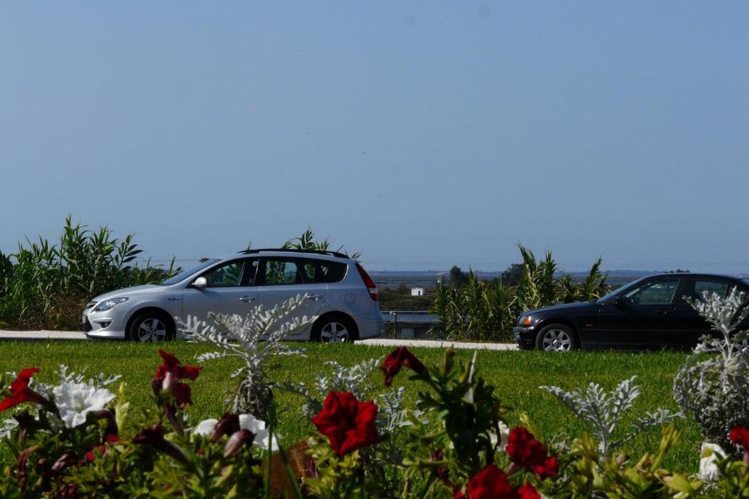 Photo of Others in Aveiro