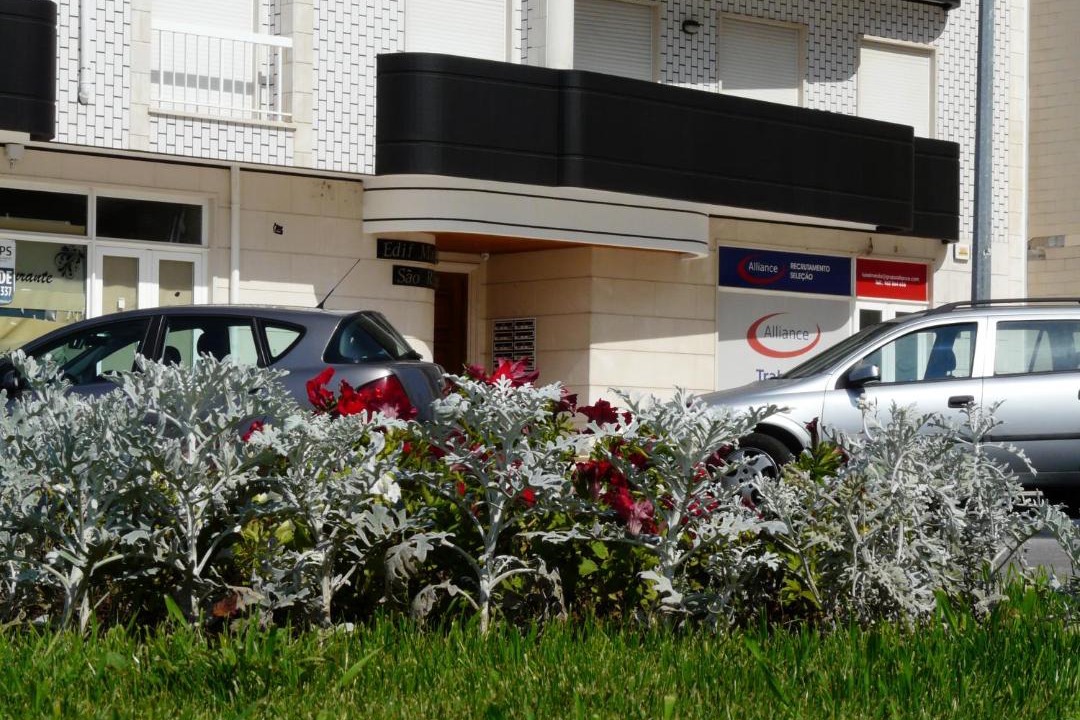 Photo of Buildings in Aveiro