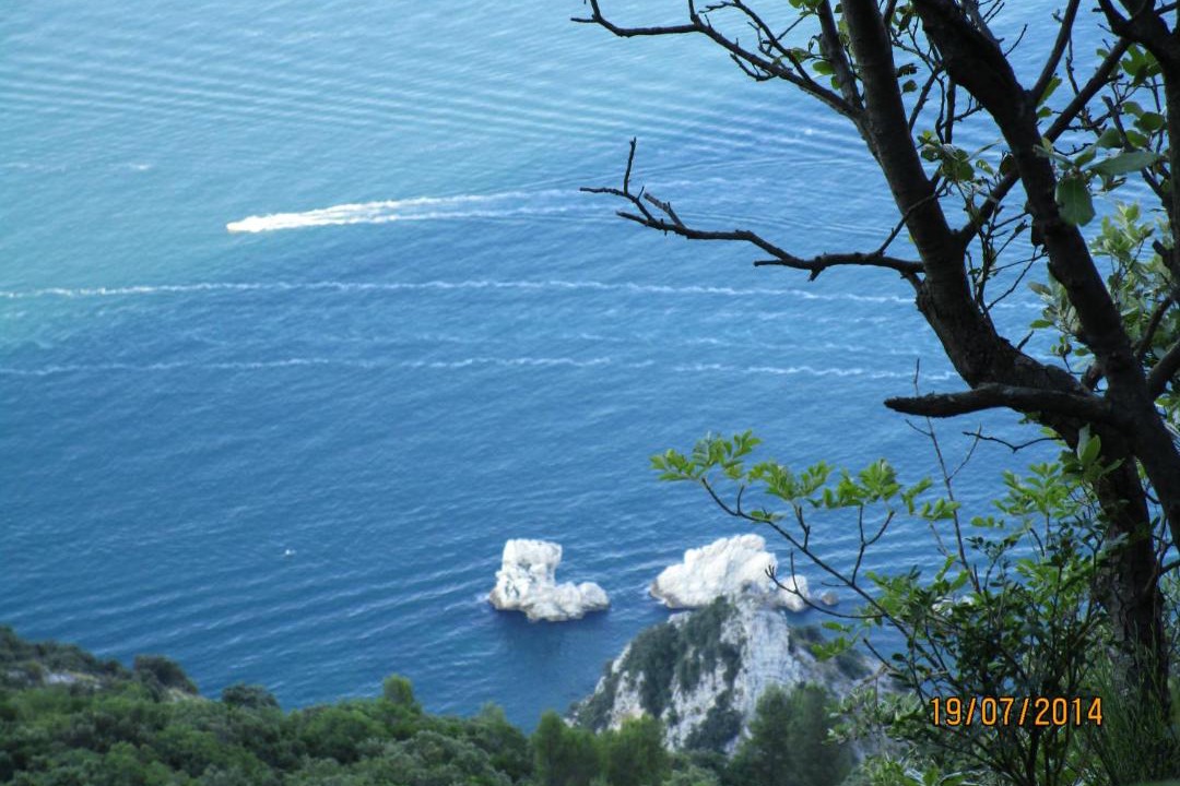 Photo of Others in Numana