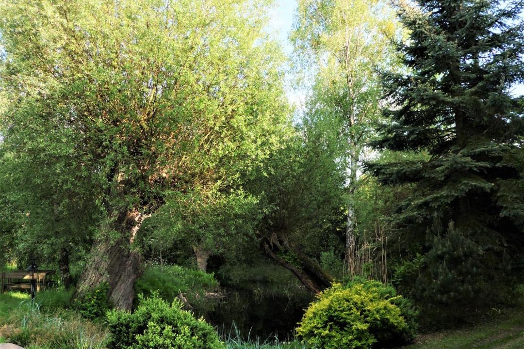 Photo of Outdoor in Trzciel