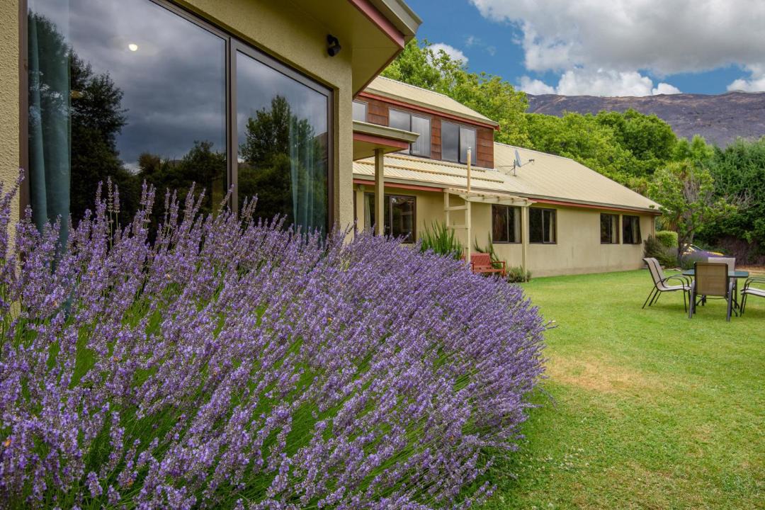 Photo of Buildings in Wanaka