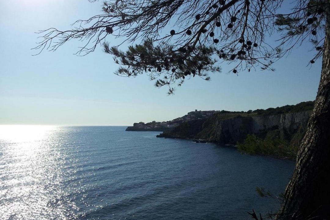 Photo of Outdoor in L'Escala