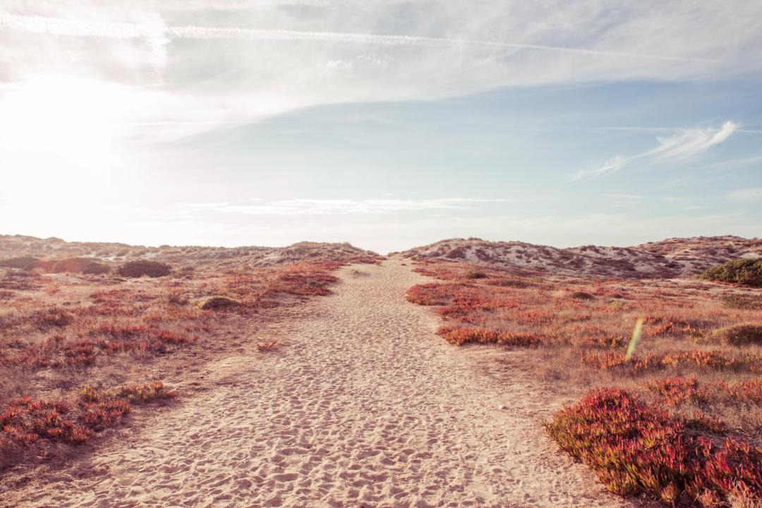 Photo of Others in Peniche