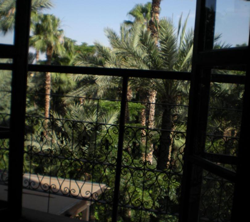 Photo of Others in Majorelle
