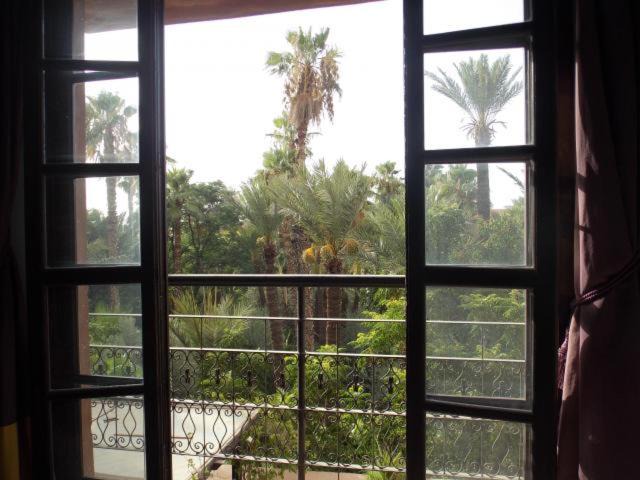 Photo of Others in Majorelle