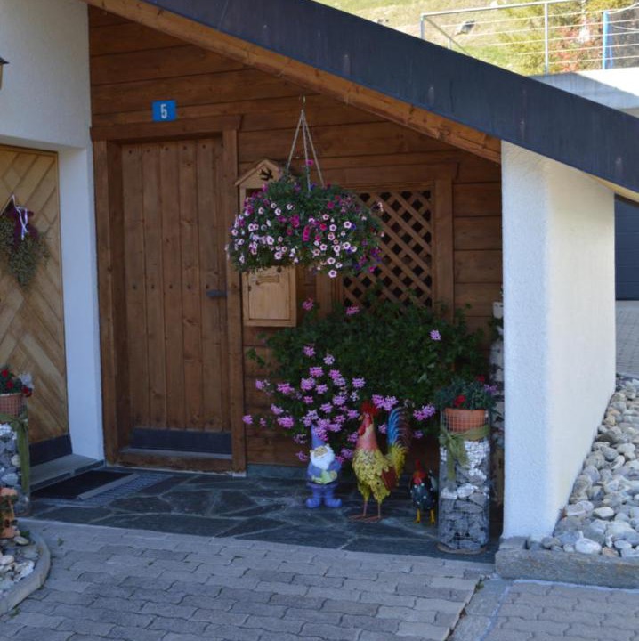 Photo of Others in Sedrun