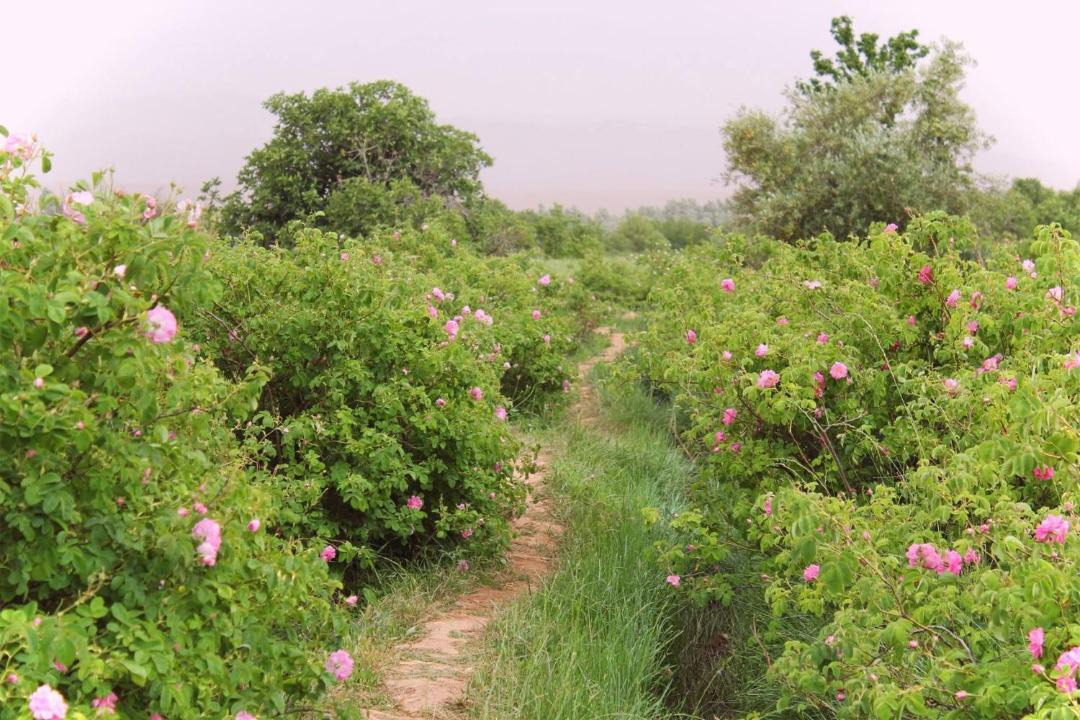 Photo of Outdoor in Bou Tharar