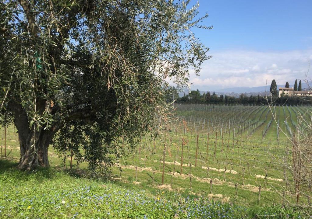 Photo of Others in Calmasino