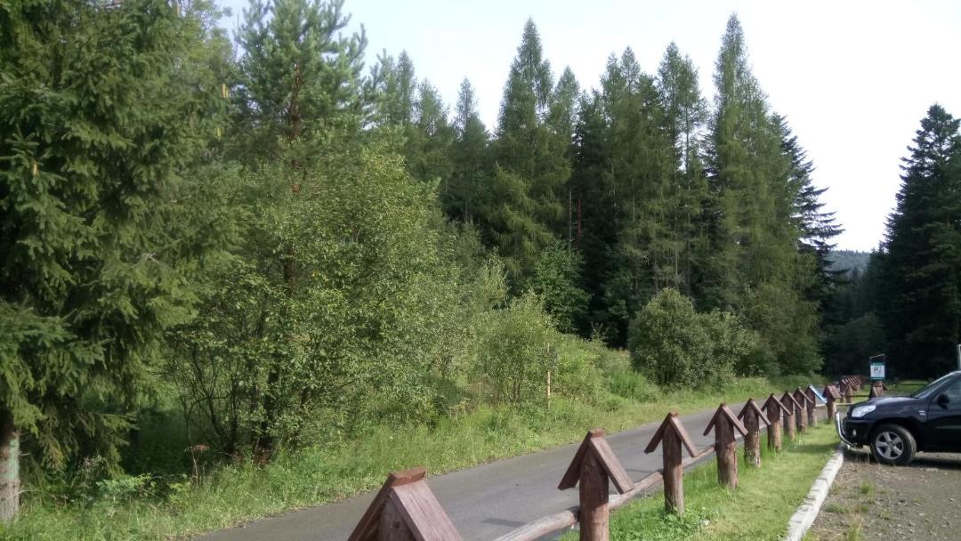 Photo of Outdoor in Binczarowa