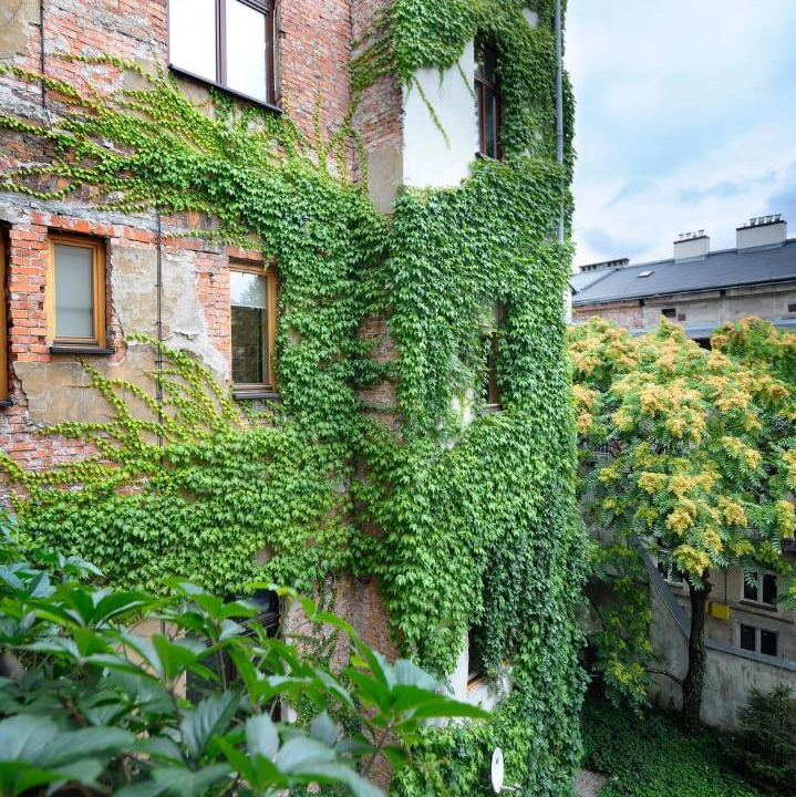 Photo of Buildings in Stare Miasto