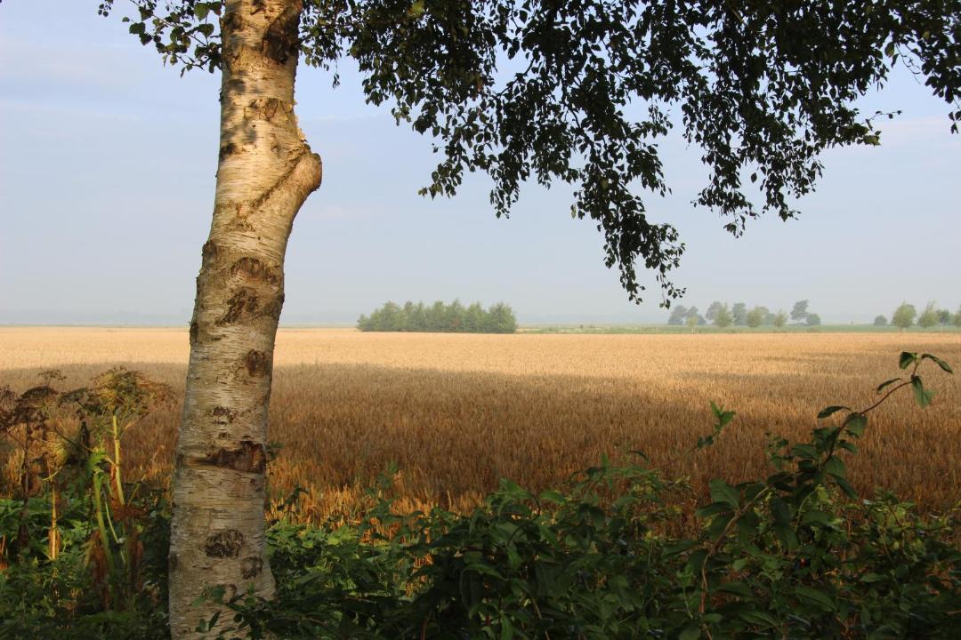Photo of Others in Buinerveen