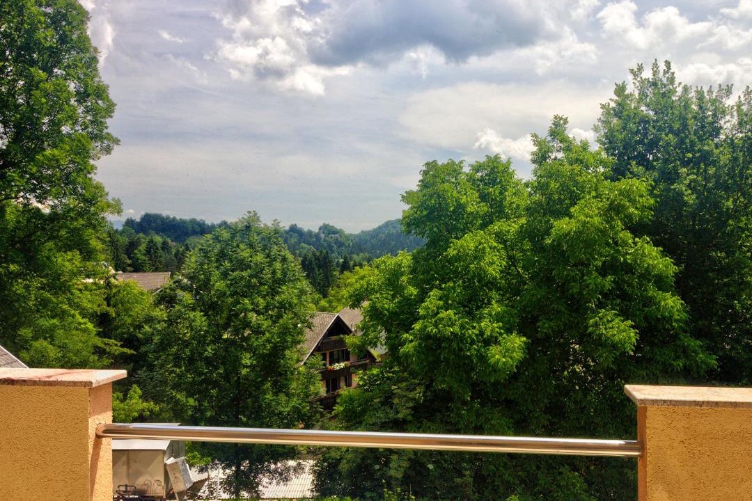 Photo of Others in Bled