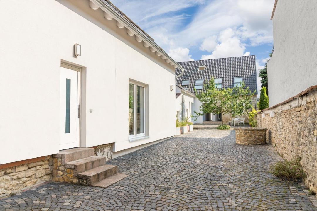 Photo of Buildings in Mainz