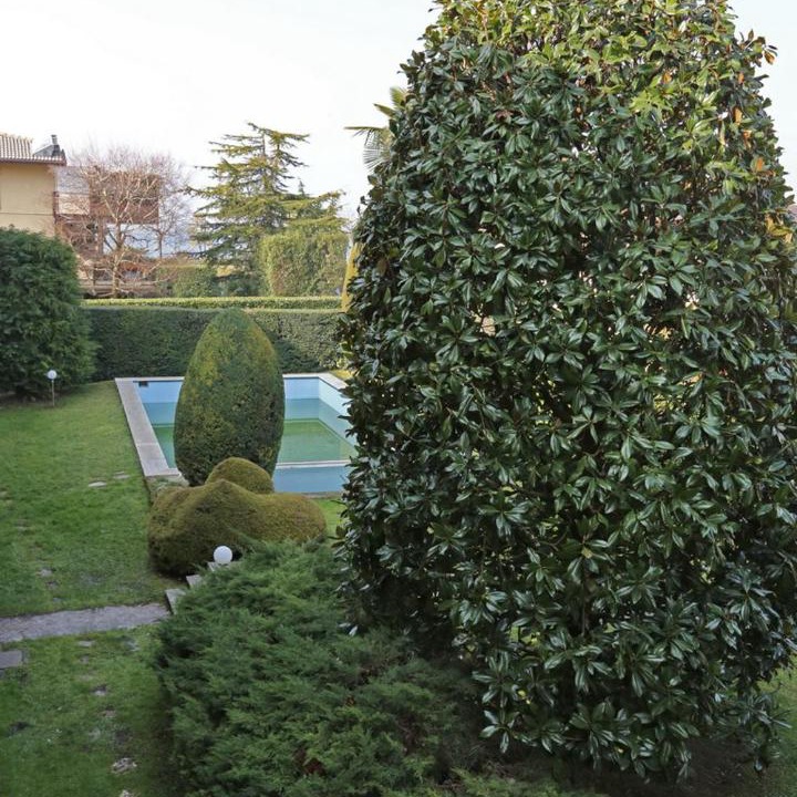 Photo of Outdoor in Bardolino
