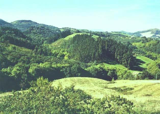Photo of Others in Hernani