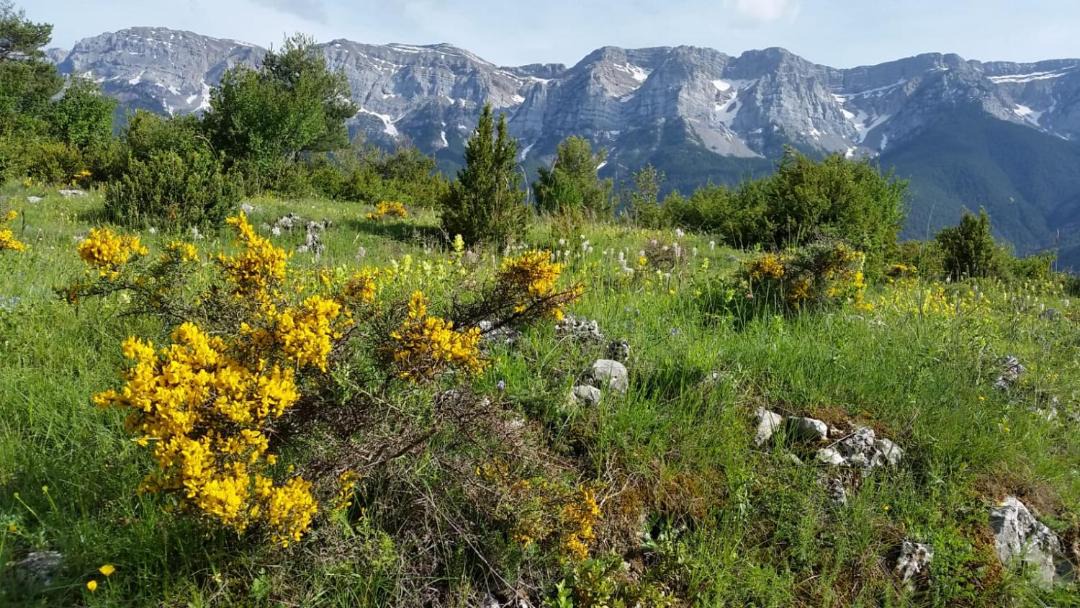 Photo of Outdoor in Cava
