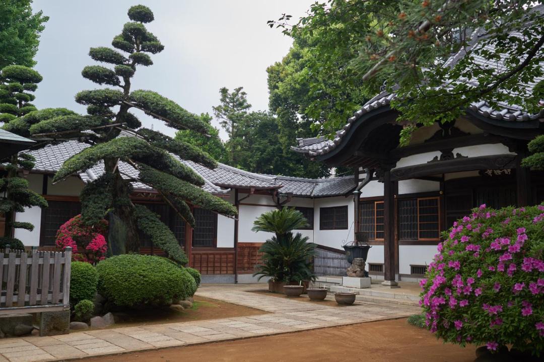 Photo of Others in Kita