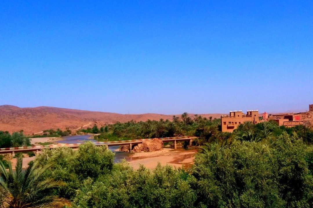 Photo of Others in Skoura