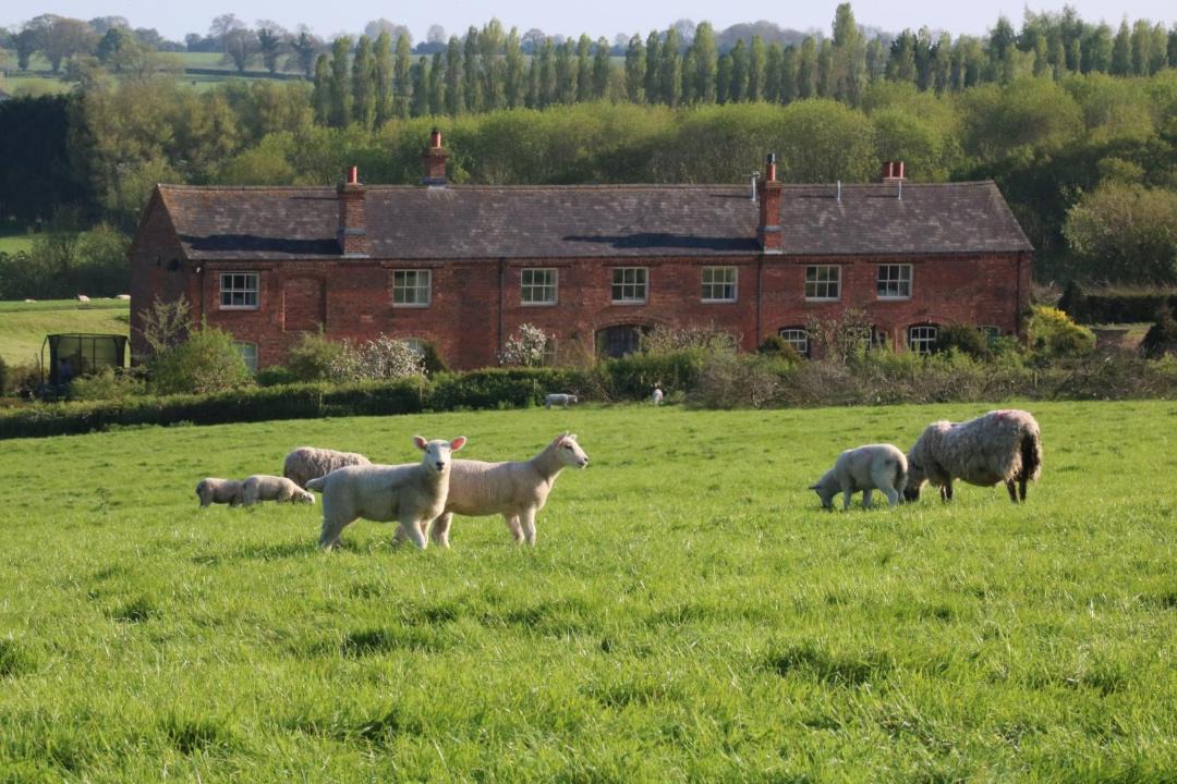 Photo of Others in Sulgrave