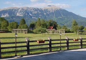 1 bedroom accommodation in Bled