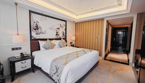 Superior Single Room