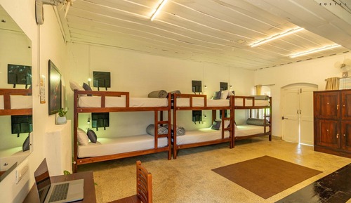 8 Bed Mixed Dorm