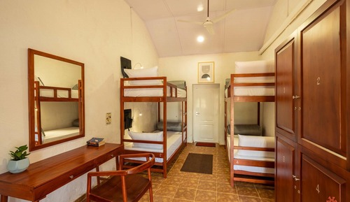 Deluxe 4 Bed Mixed Dorm