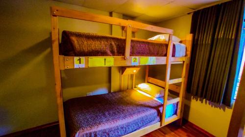 Single Bed in 4-Bed Dormitory Room