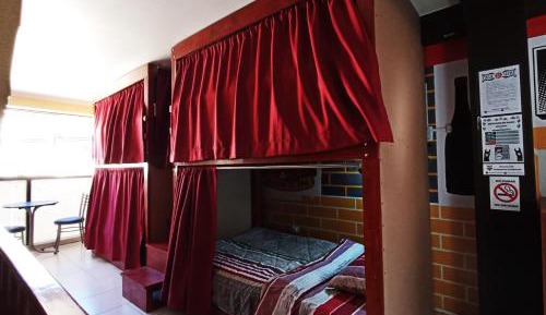 Bunk Bed in Mixed Dormitory Room