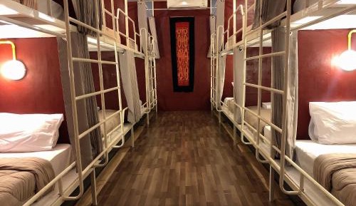 Bunk Bed in Male Dormitory Room 